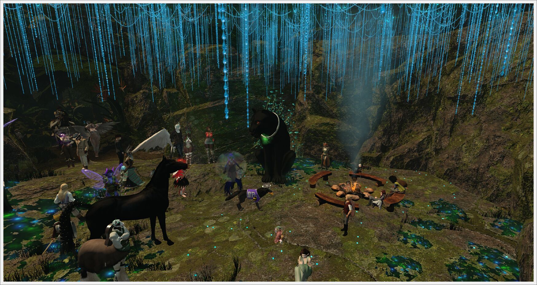 bards day 2008